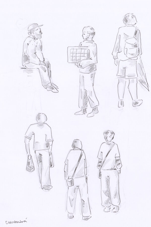 Amálie Citterbardová, 2. ročník 